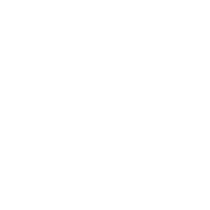 top msp