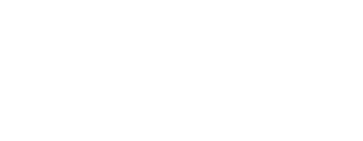 Black Kite